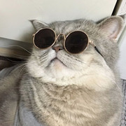 T E K I C K